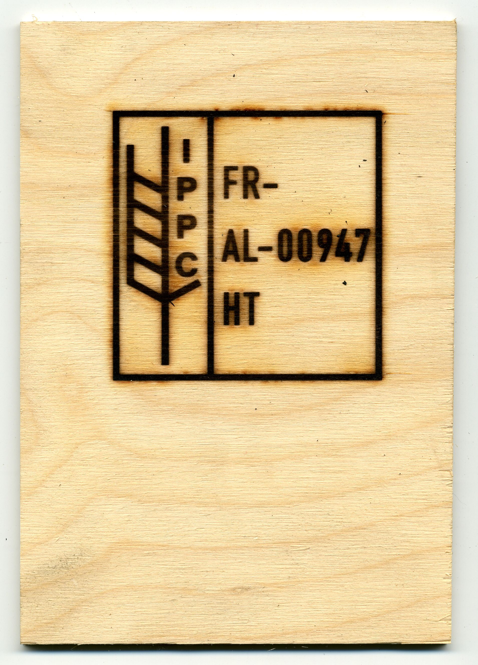 BS-Abdruck-Holz-1905_017