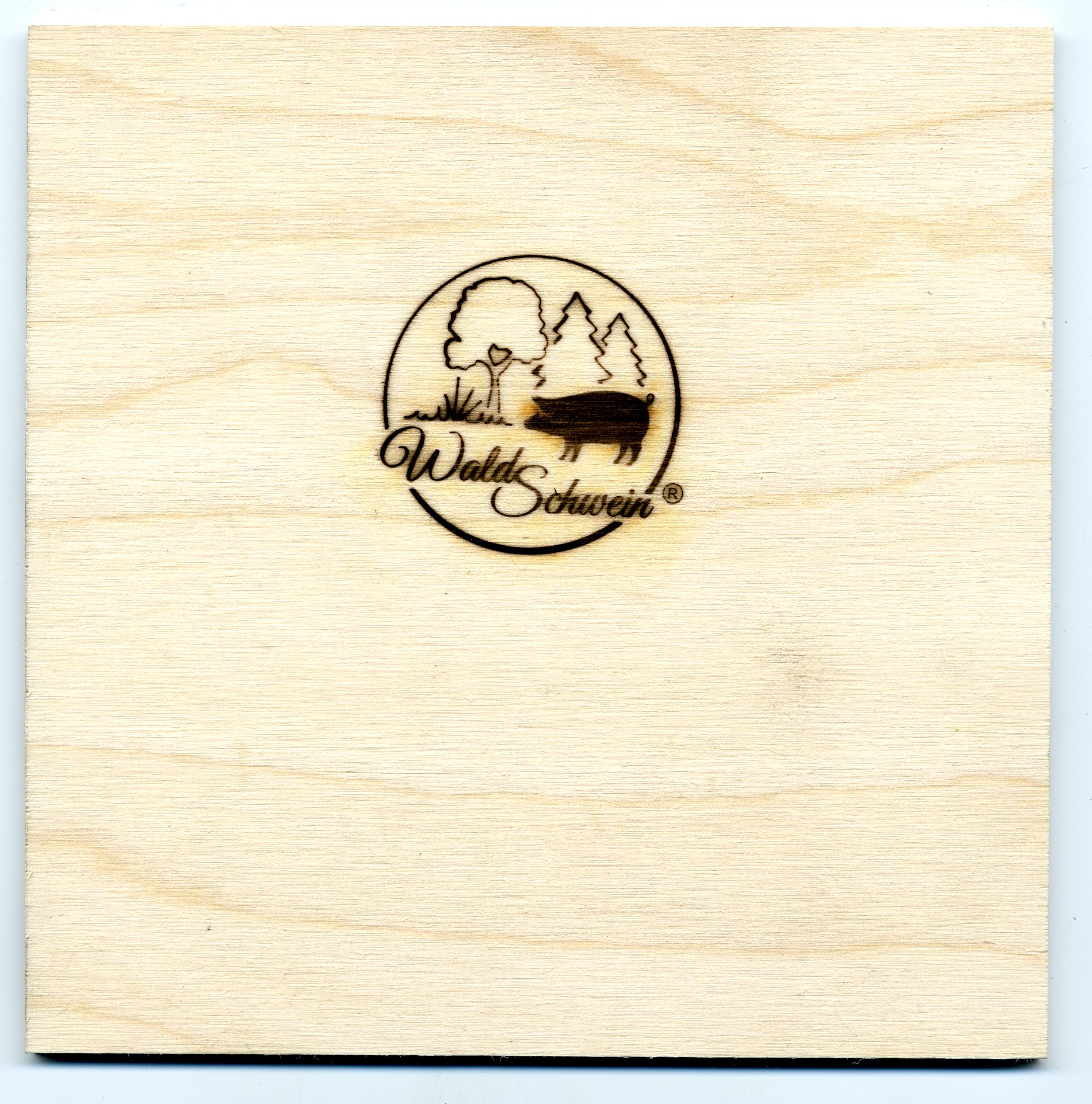 BS-Abdruck-Holz-1905_007