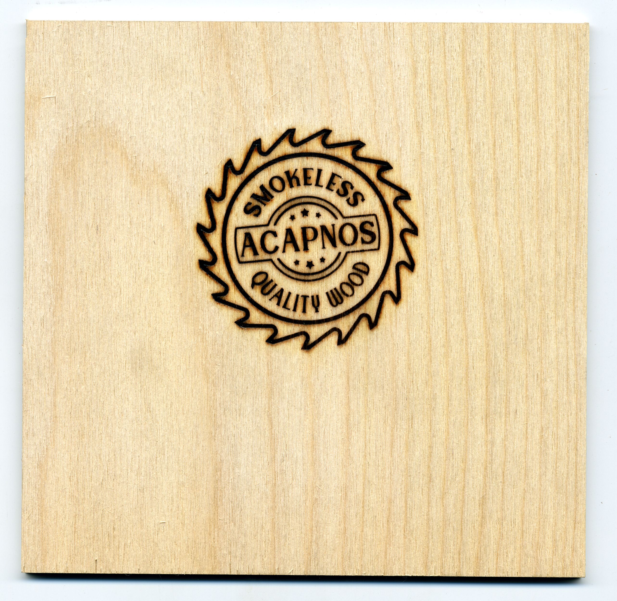 BS-Abdruck-Holz-1905_009